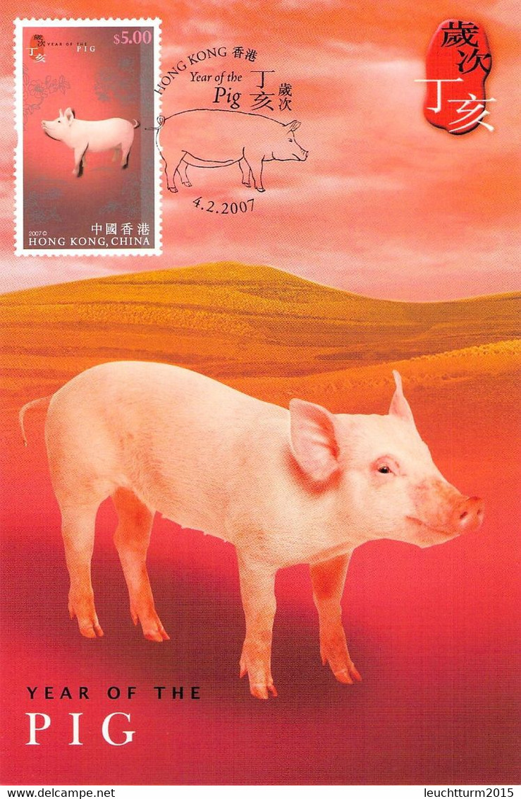 HONGKONG - MC YEAR OF PIG 2007  / ZB49 - Maximumkaarten