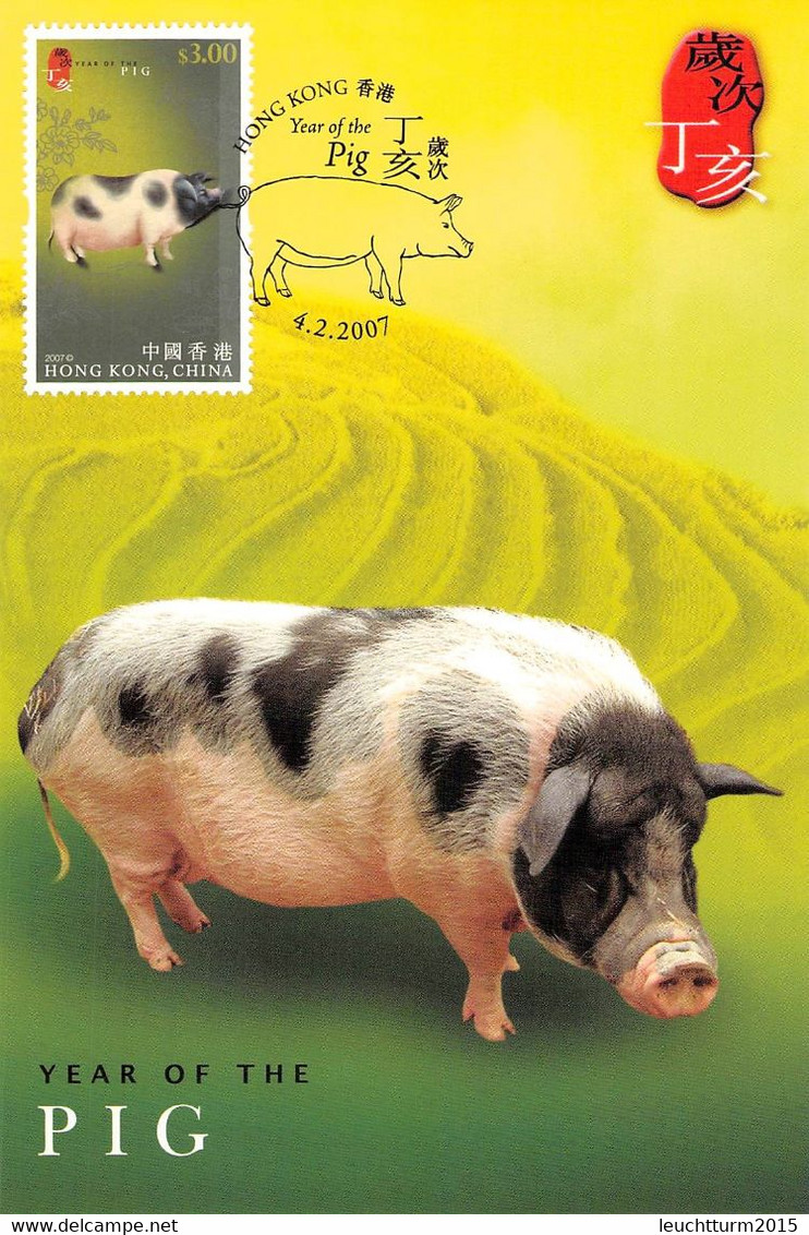 HONGKONG - MC YEAR OF PIG 2007  / ZB49 - Maximumkaarten