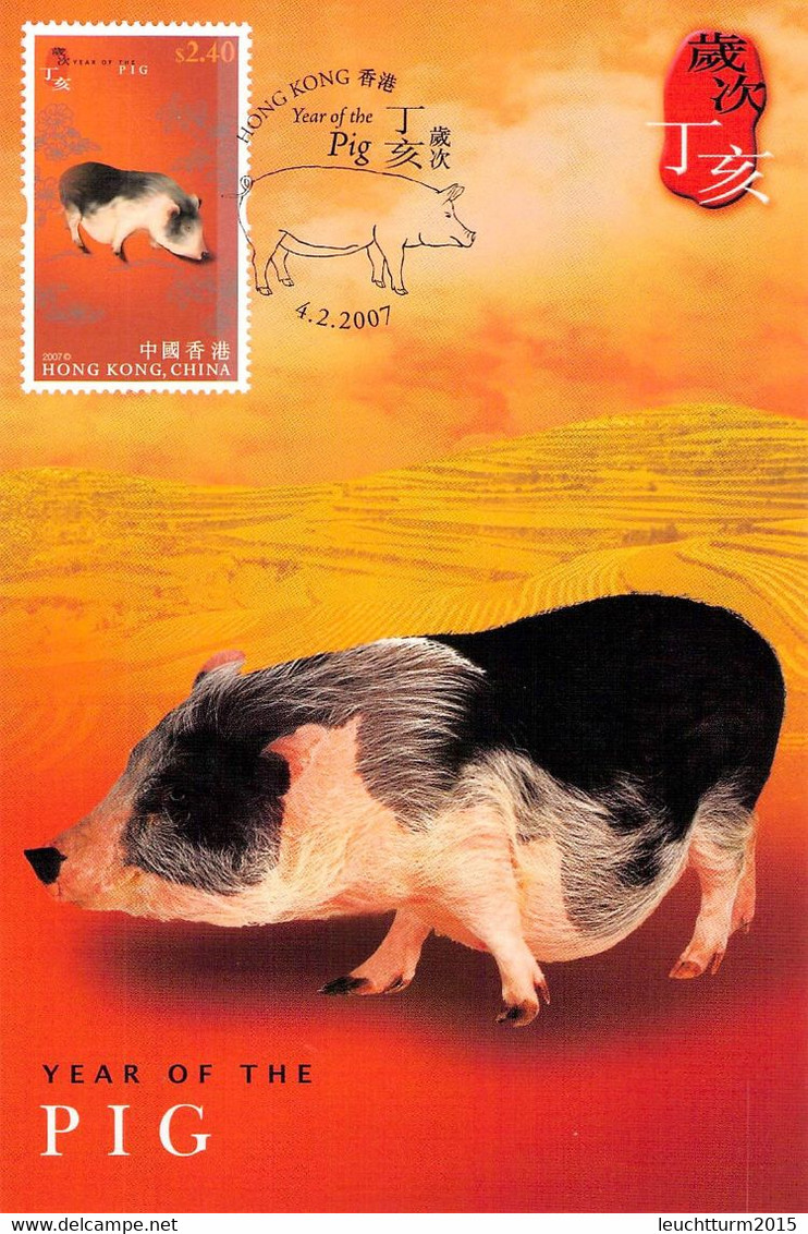 HONGKONG - MC YEAR OF PIG 2007  / ZB49 - Maximumkaarten