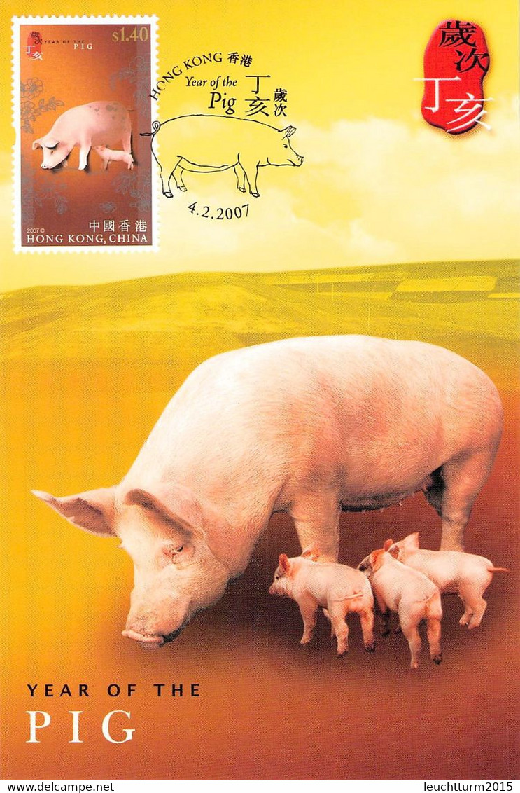 HONGKONG - MC YEAR OF PIG 2007  / ZB49 - Maximumkaarten