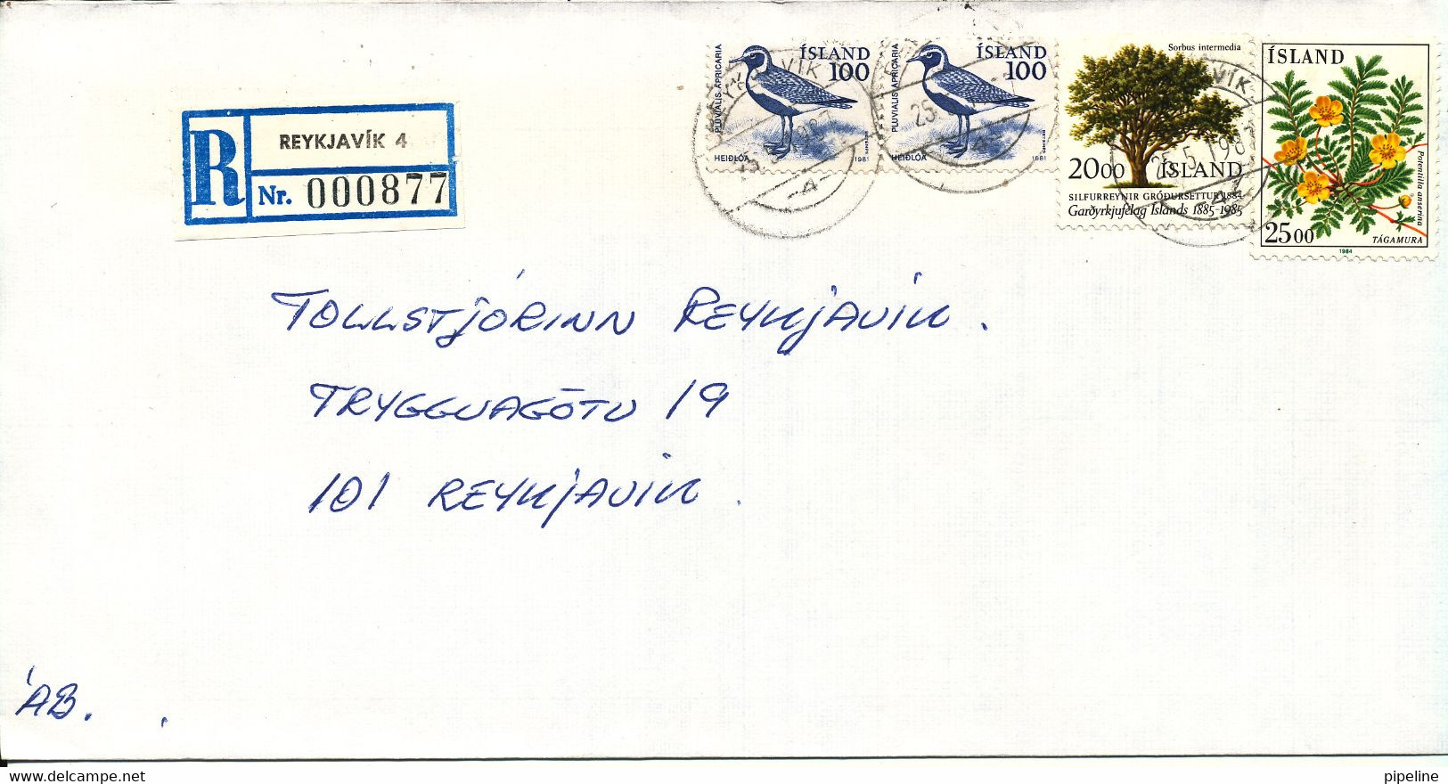 Iceland Registered Domestic Cover Reykjavik 25-5-1987 Topic Stamps - Briefe U. Dokumente