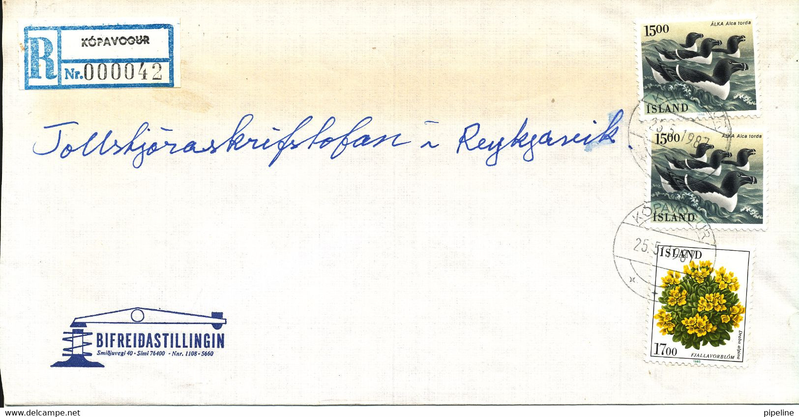 Iceland Registered Domestic Cover Kopavogur 25-5-1987 Topic Stamps - Brieven En Documenten