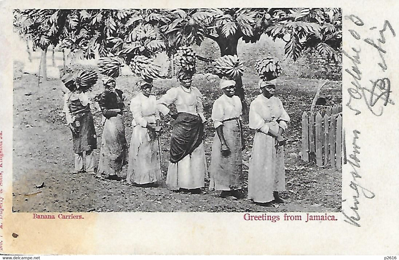 JAMAIQUE -  1903 -  GREETINGS FROM JAMAICA -  BANANA CARRIERS - Giamaica