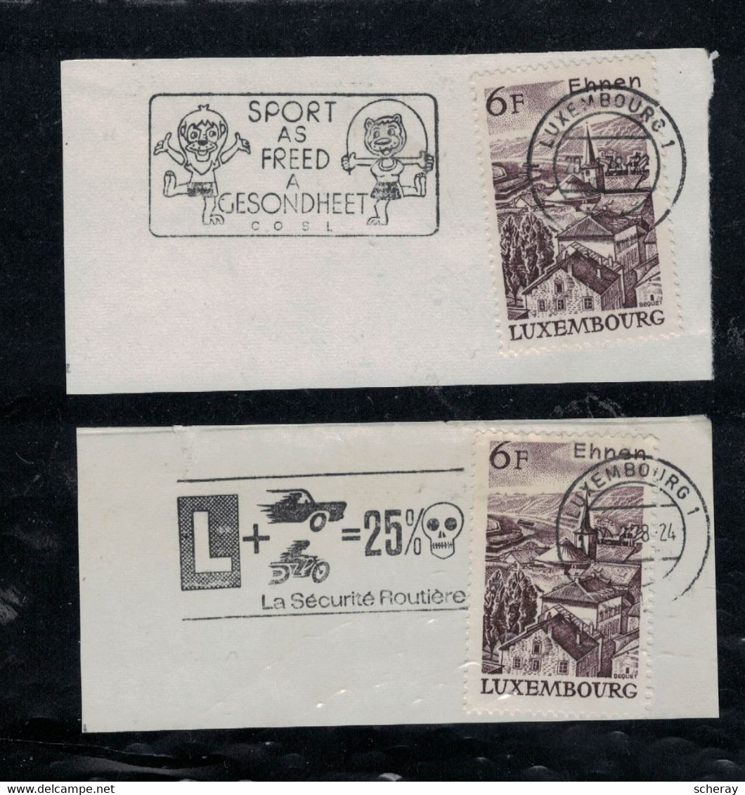 2 FRAGMENTS FLAMMES  DIFFERENTES  SUR VALEURS LUXEMBOURG ( Lot361 ) - Franking Machines (EMA)