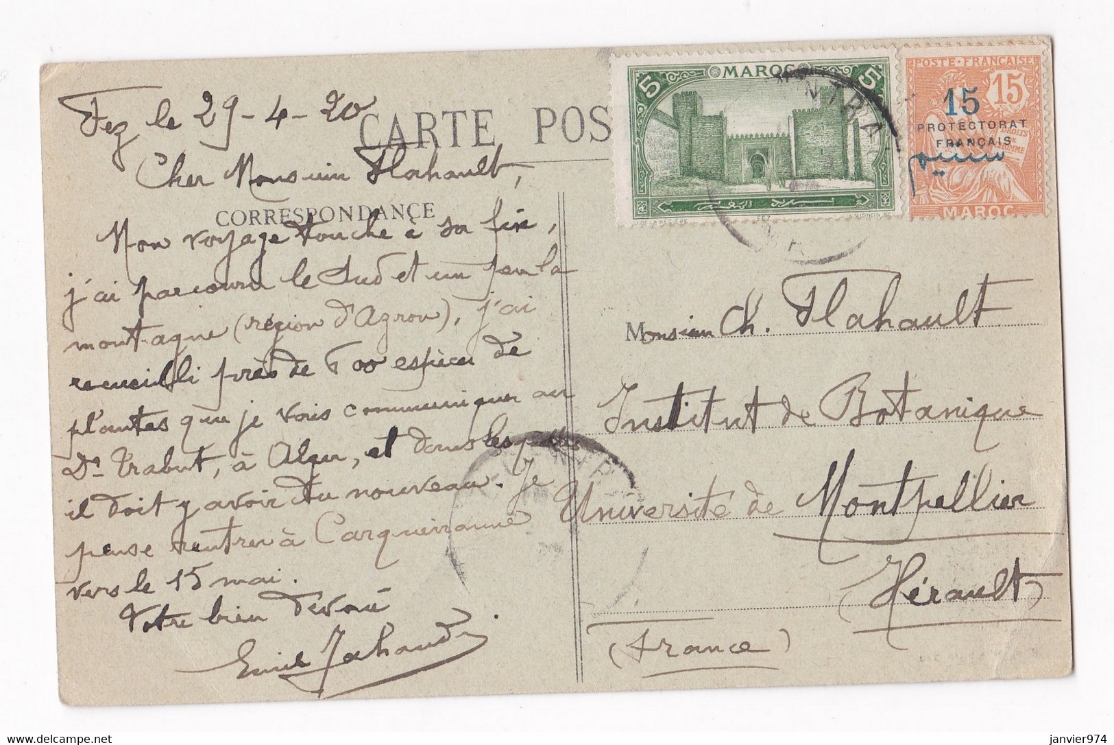 Carte Postale 1920 Fez. Vue Generale De La Ville , Pour Institut Botanique Université De Montpellier - Fez