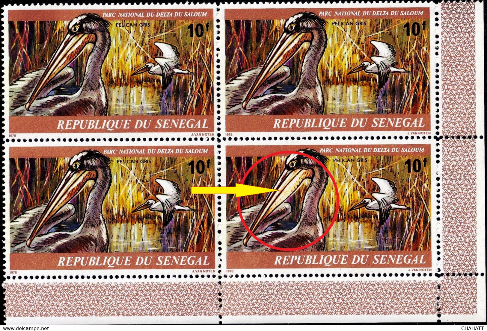 MARINE WEBBED FEET BIRDS- PELICANS- COLOR VARIETY- BLOCK OF 4- SENEGAL 1968-MNH-SCARCE-B9-2040 - Pelicans