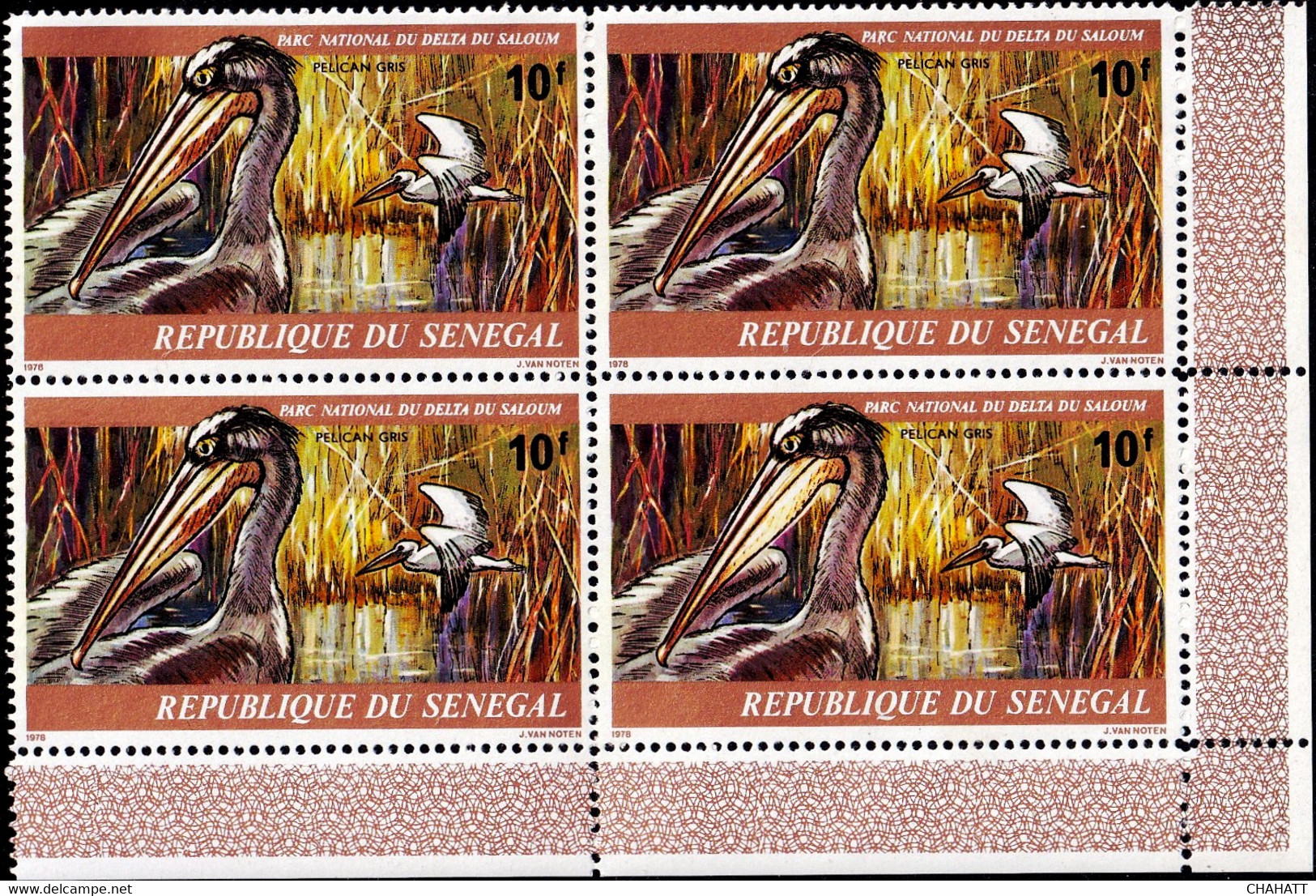 MARINE WEBBED FEET BIRDS- PELICANS- COLOR VARIETY- BLOCK OF 4- SENEGAL 1968-MNH-SCARCE-B9-2040 - Pelicans