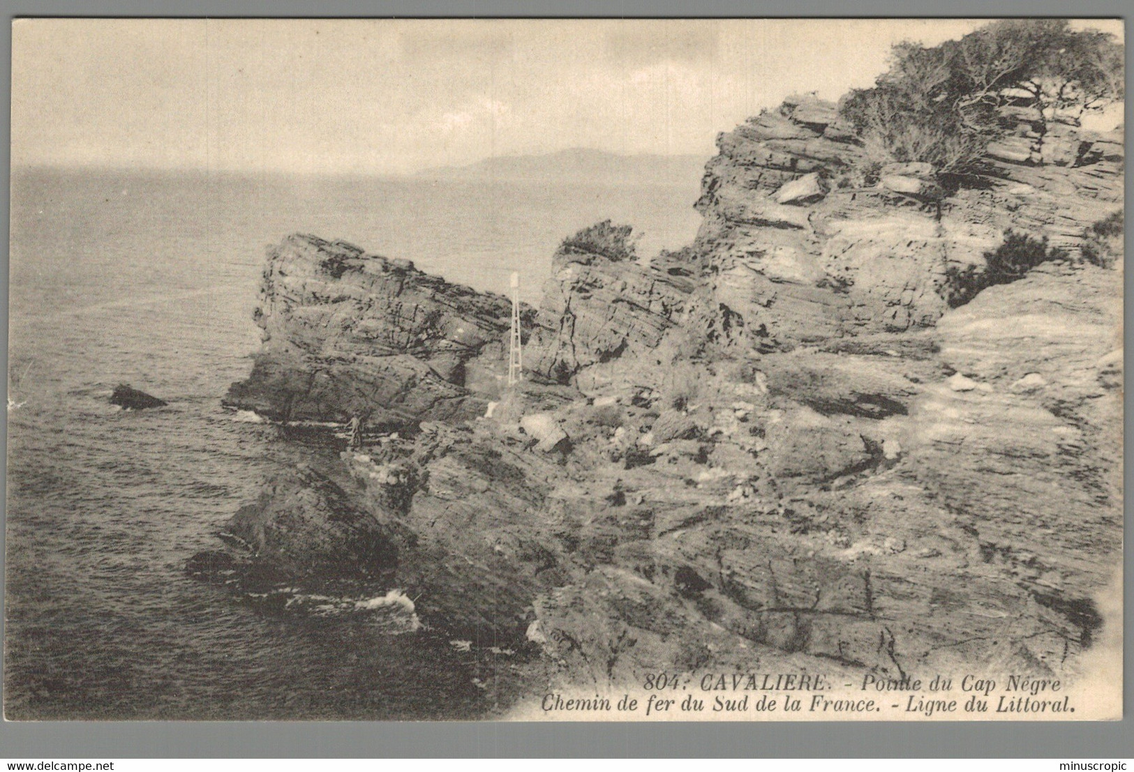 CPA 83 - Cavalière - Pointe Du Cap Nègre - Chemin De Fer Du Sud De La France - Ligne Du Littoral - Cavalaire-sur-Mer