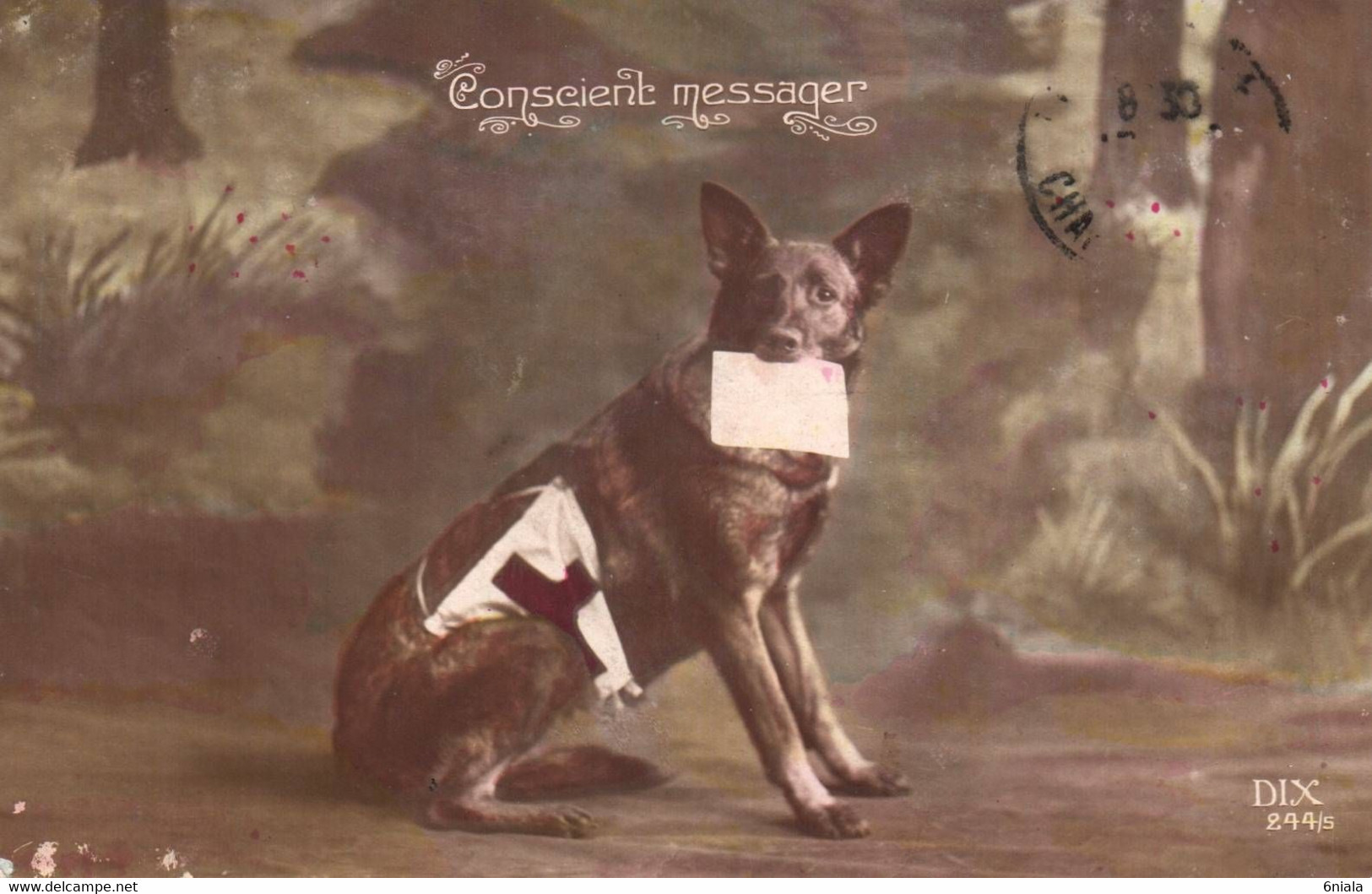 16163  CROIX ROUGE Chien Sanitaire  Porteur D'un Message  " Conscient Messager " MILITARIA Militaire  ( 2 Scans ) - Red Cross