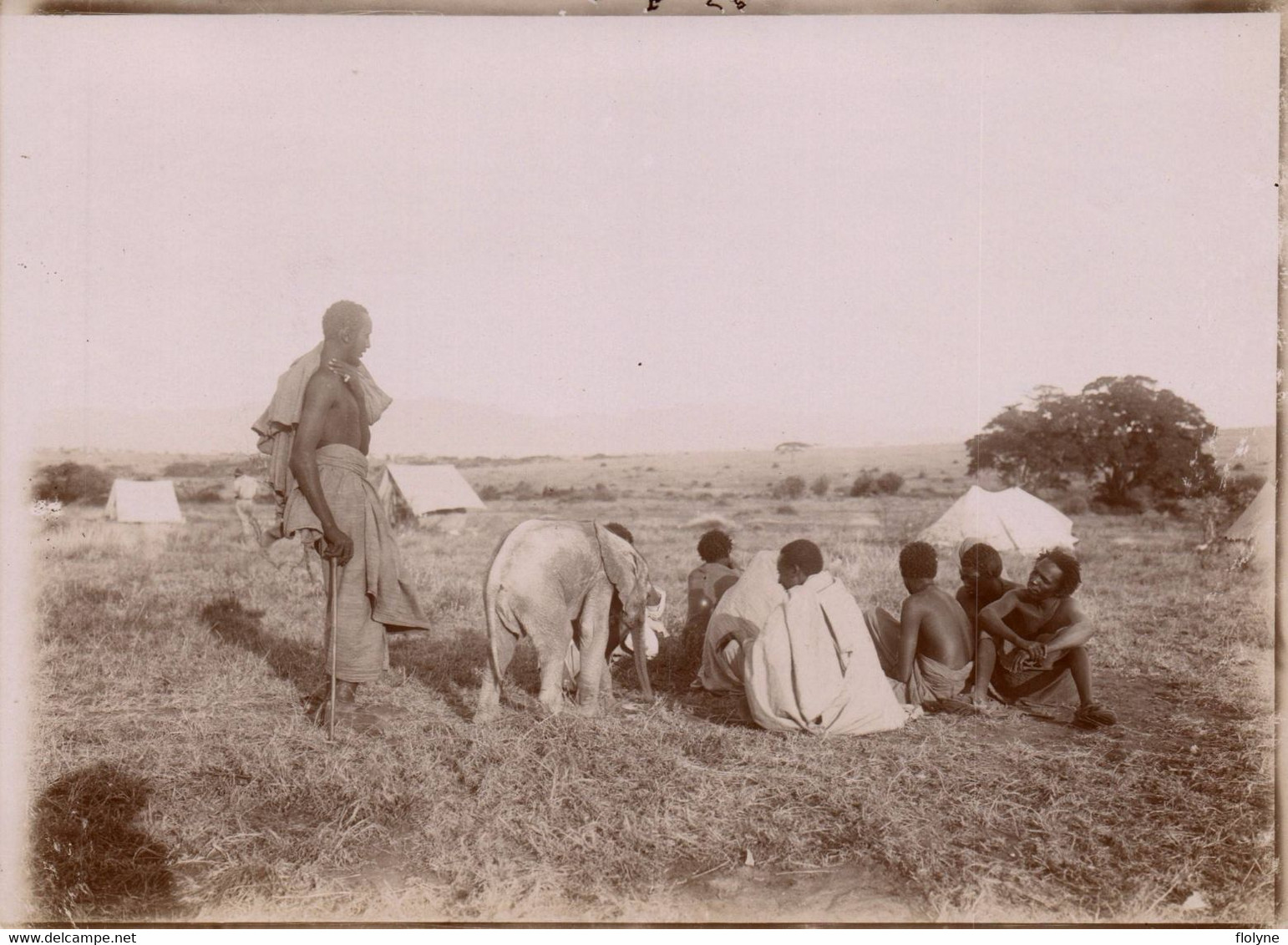 Kenya - Rare Photo Ancienne Albuminée - Steppe De BARTA Tribu Ethnie SAMBURU Samburos - éléphanteau éléphant - Ethnique - Kenia