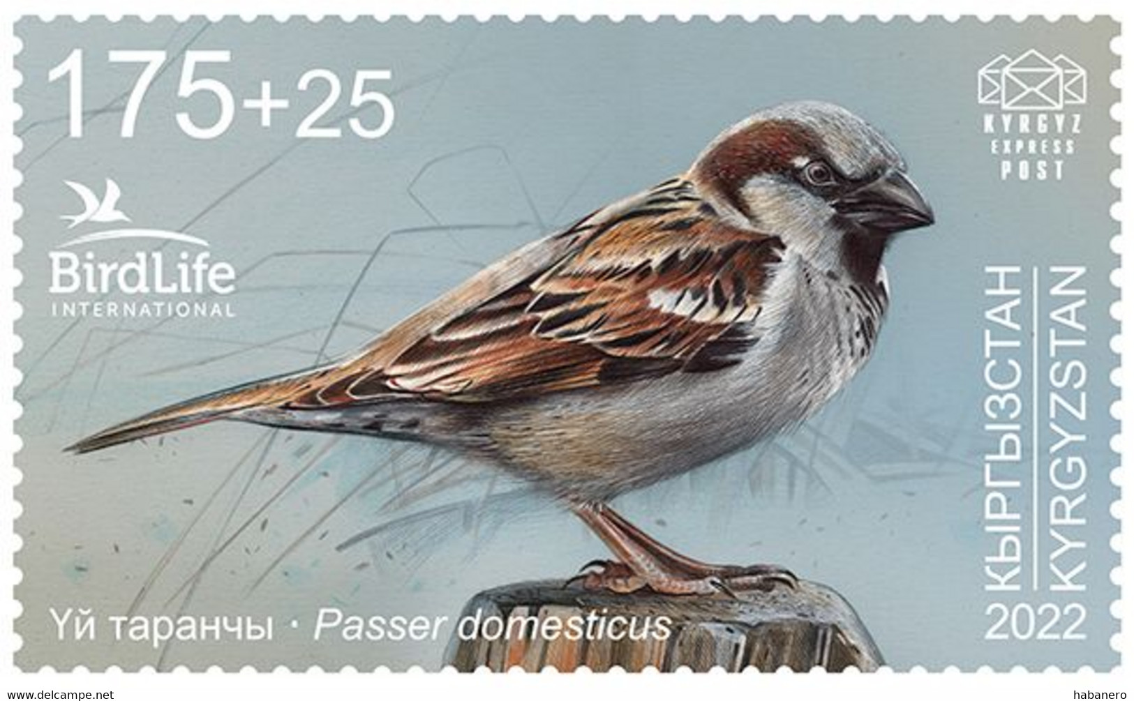 KYRGYZSTAN 2023 SPARROW BIRD MINT STAMP ** - Passeri