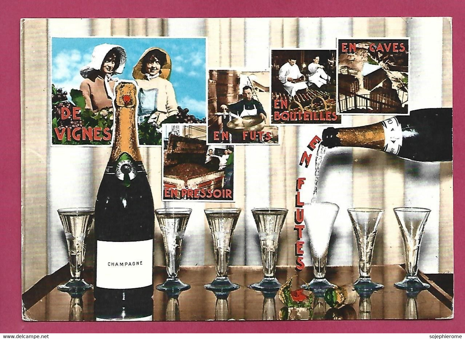 Champagne De Vignes En Pressoir En Fûts En Bouteilles En Caves 2scans - Champagne - Ardenne