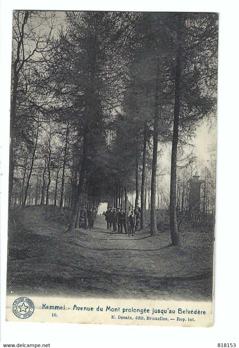 Kemmel - Avenue Du Mont Prolongée Jusqu'au Belvédère 1921 - Heuvelland