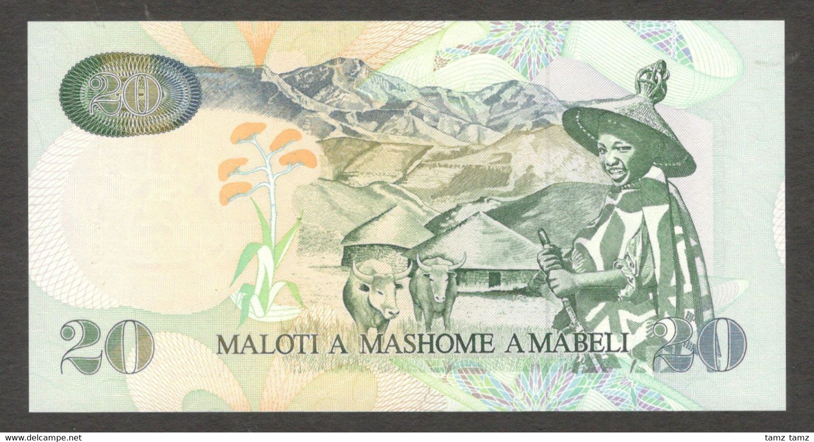 Lesotho 20 Maloti 1994 UNC - Lesotho