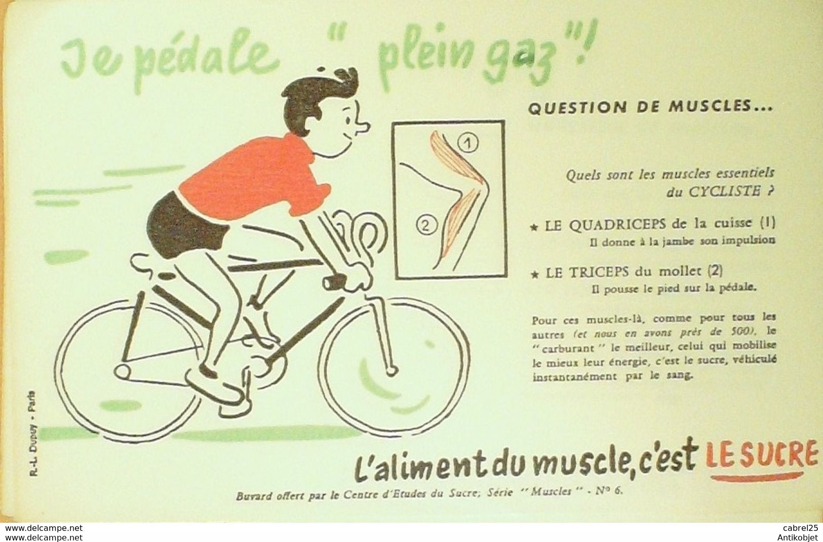 Buvard LE SUCRE CYCLISME Muscle - Sports