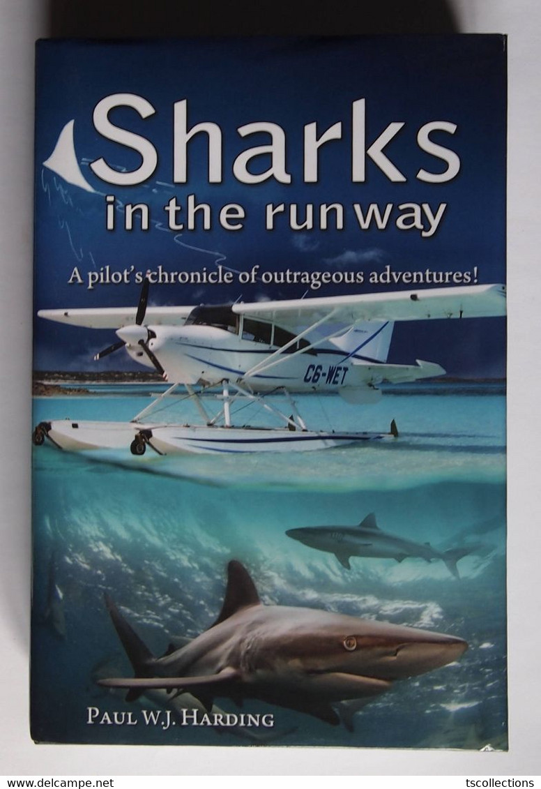 Sharks In The Runway - Reizen