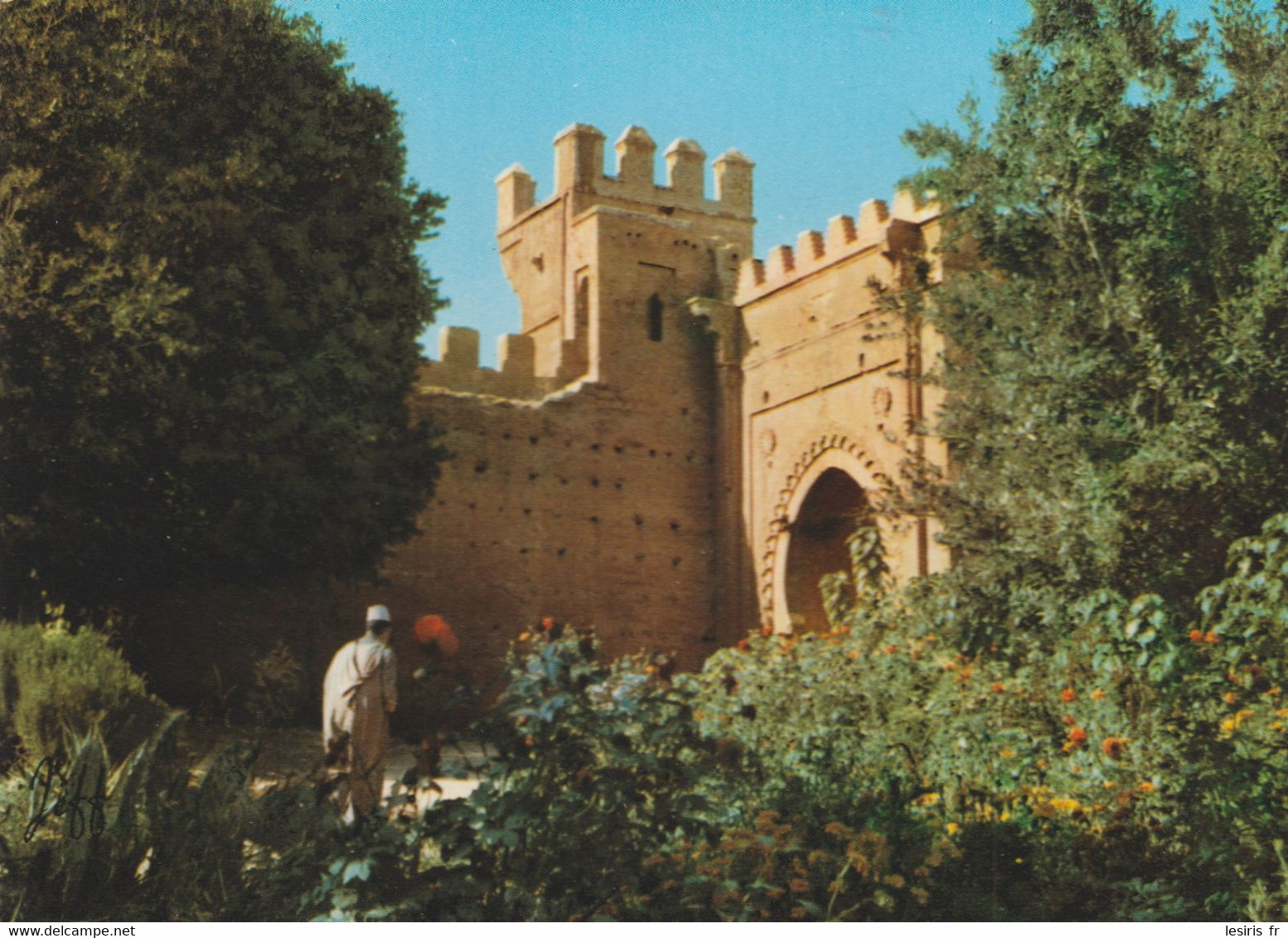 C.P - PHOTO - RABAT - LE CHELLAH - JEFF - 6517 B - Rabat