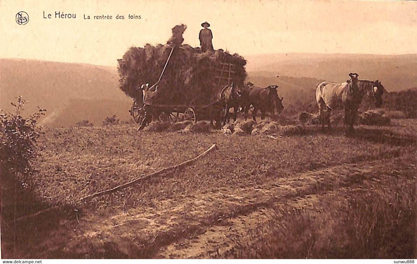 Le Hérou - La Rentrée Des Foins (animée Attelage Chevaux Nels) - Houffalize