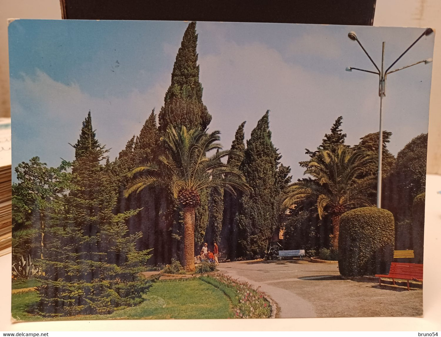 Cartolina Carovigno Provincia Brindisi ,giardino 1976,palme - Brindisi