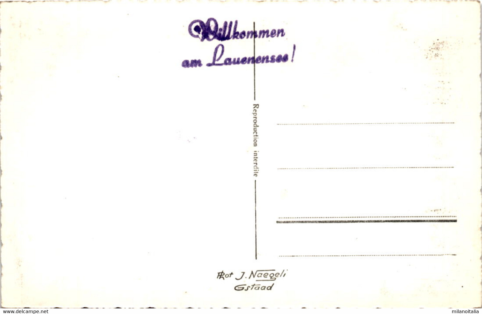 Ziegen Im Geltental Bei Lauenen - Geltenhorn (203) - Lauenen