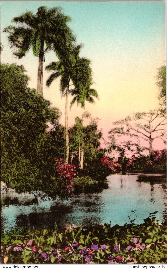 Florida Palm Beach Royal Palms Handcolored Albertype - Palm Beach