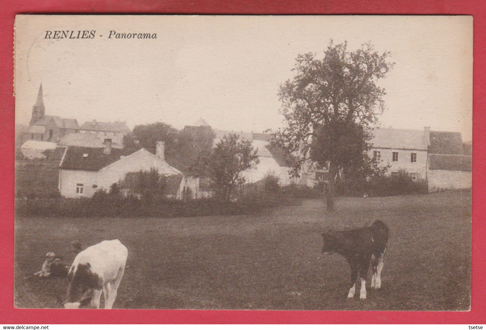 Renlies - Panorama ... Du Village- Paysage Bucolique, Vaches  1930 ( Voir Verso ) - Beaumont