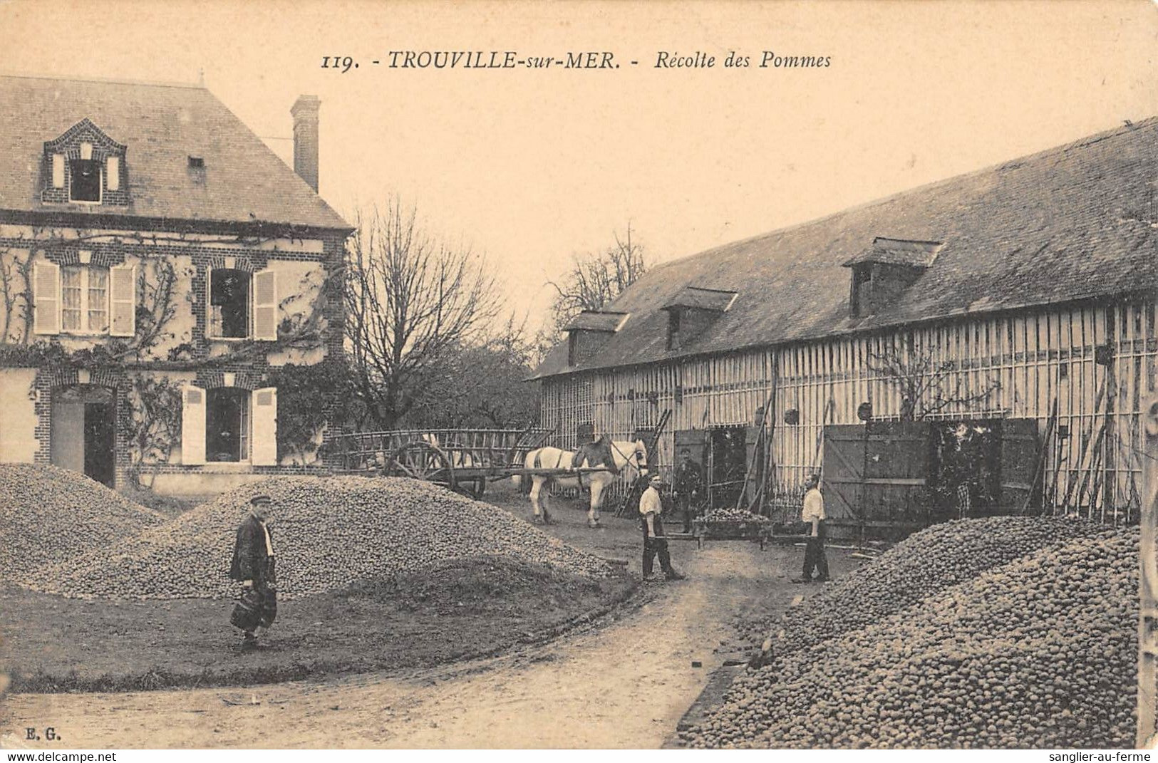 CPA 14 TROUVILLE SUR MER RECOLTE DES POMMES - Trouville