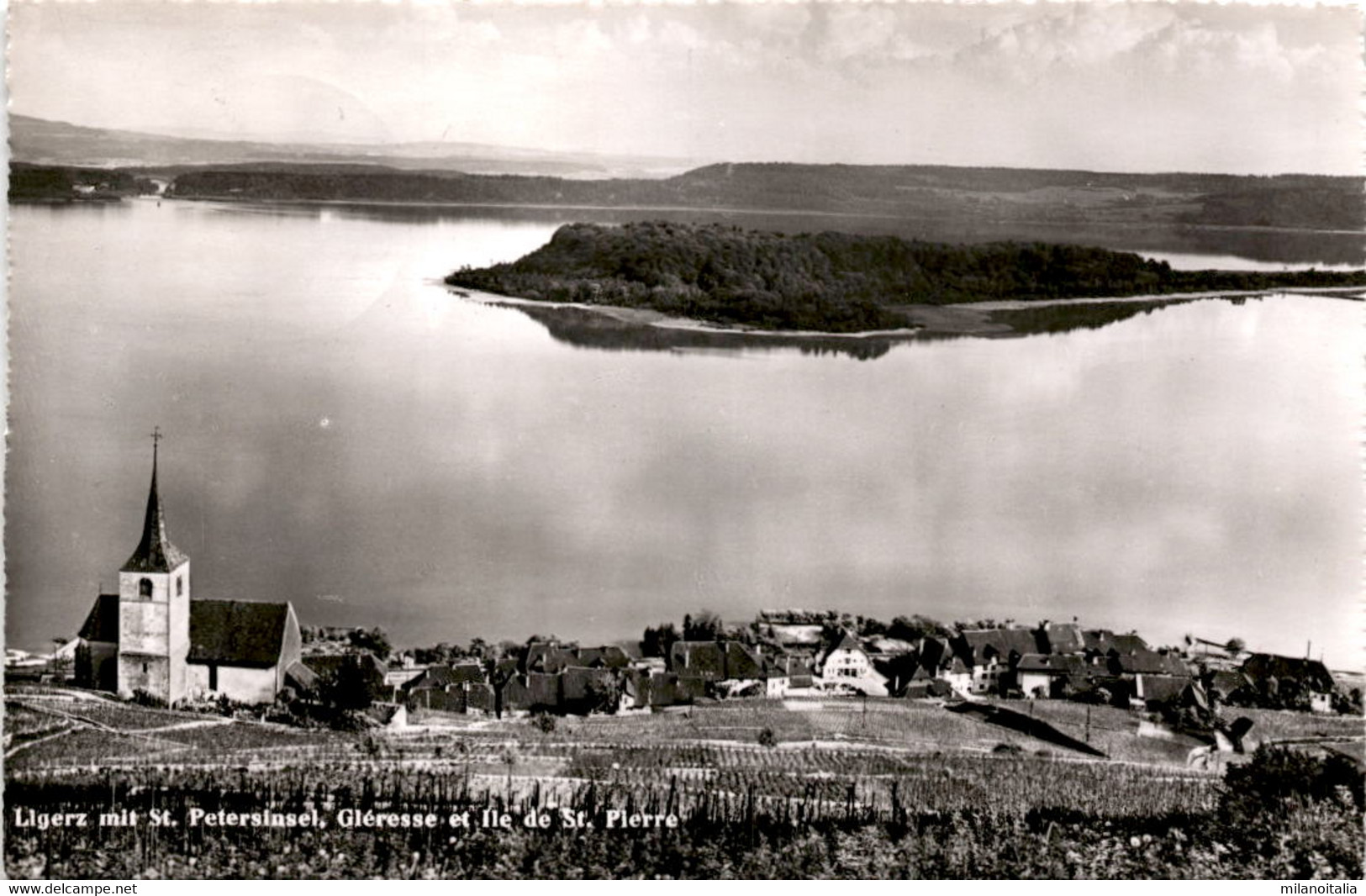 Ligerz Mit St. Petersinsel, Gleresse Et Ile De St. Pierre  (1911) * 12. 7. 1954 - Gléresse