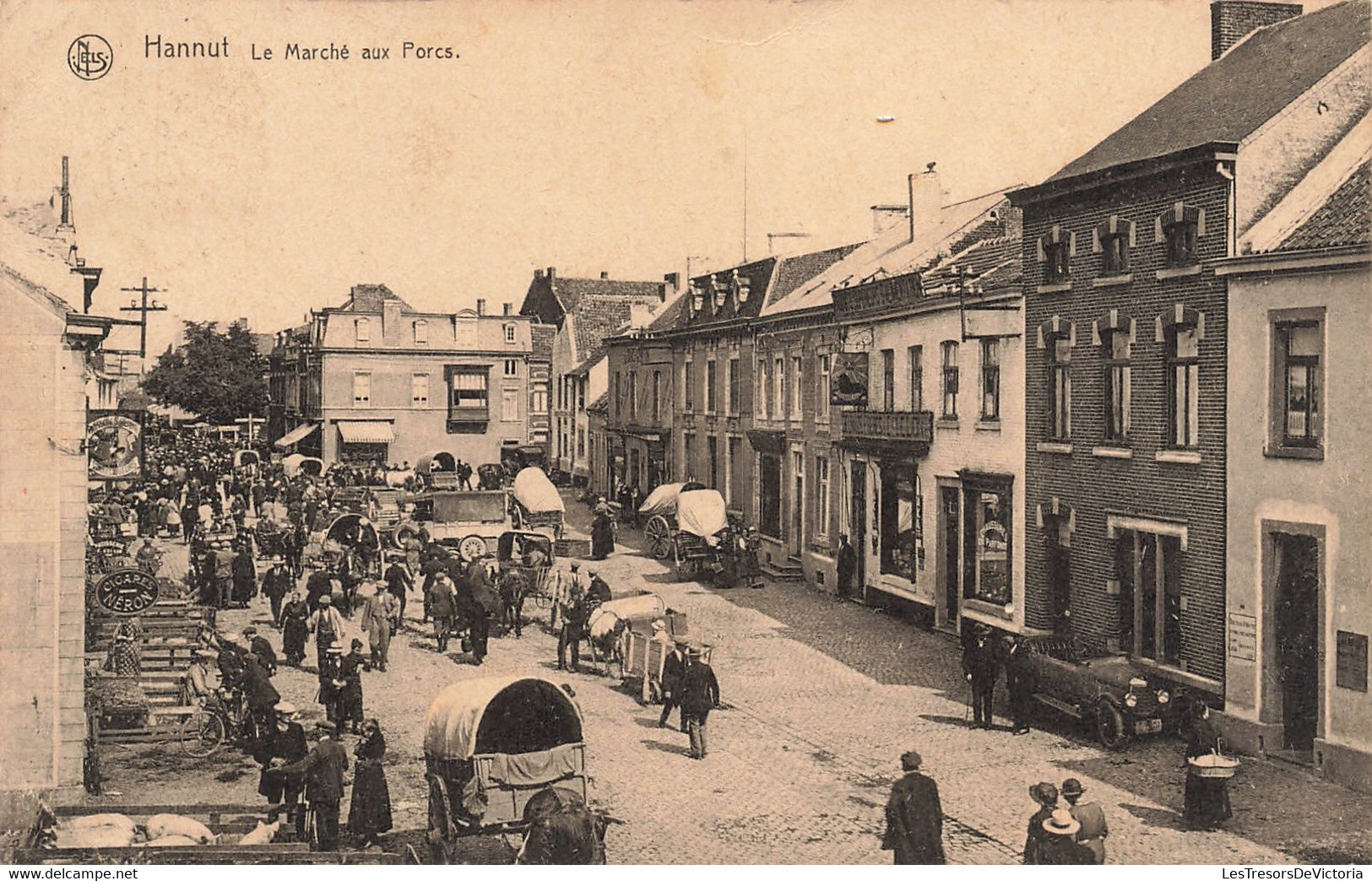 Belgique - Hannut - Le Marché Aus Porcs - Edit. Jules Hublin - Nels - Animé - Oblitéré 1927 - Carte Postale Ancienne - Hannuit