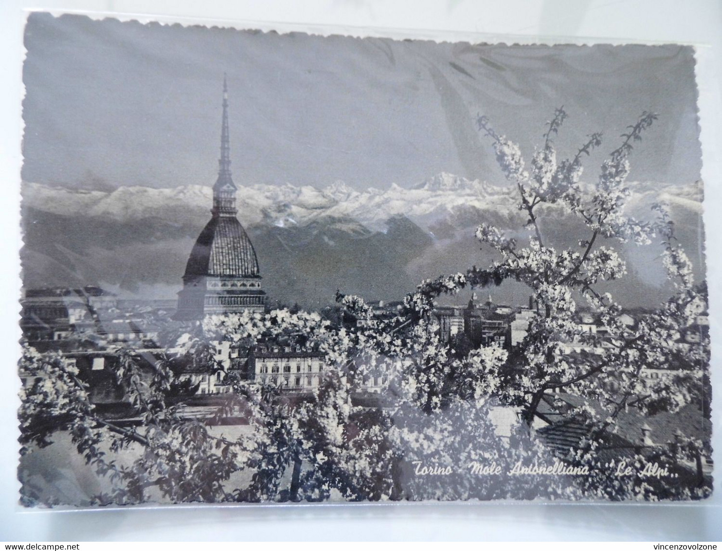 Cartolina Viaggiata "TORINO Mole Antonelliana Le Api" 1951 - Mole Antonelliana