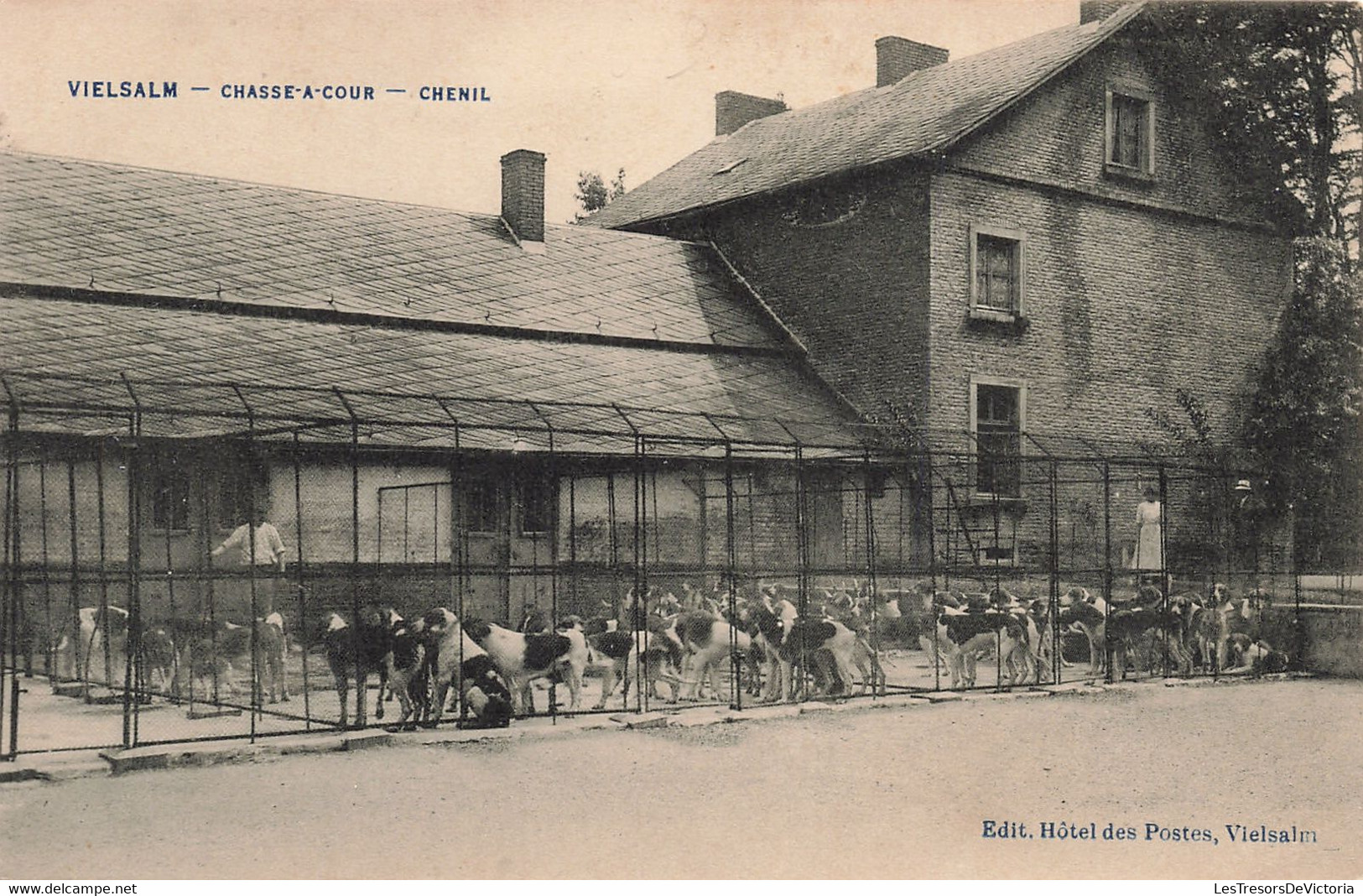 Belgique - Vielsam - Chasse A Cour - Edit. Hôtel Des Postes - Chien - Animé - Carte Postale Ancienne - Vielsalm