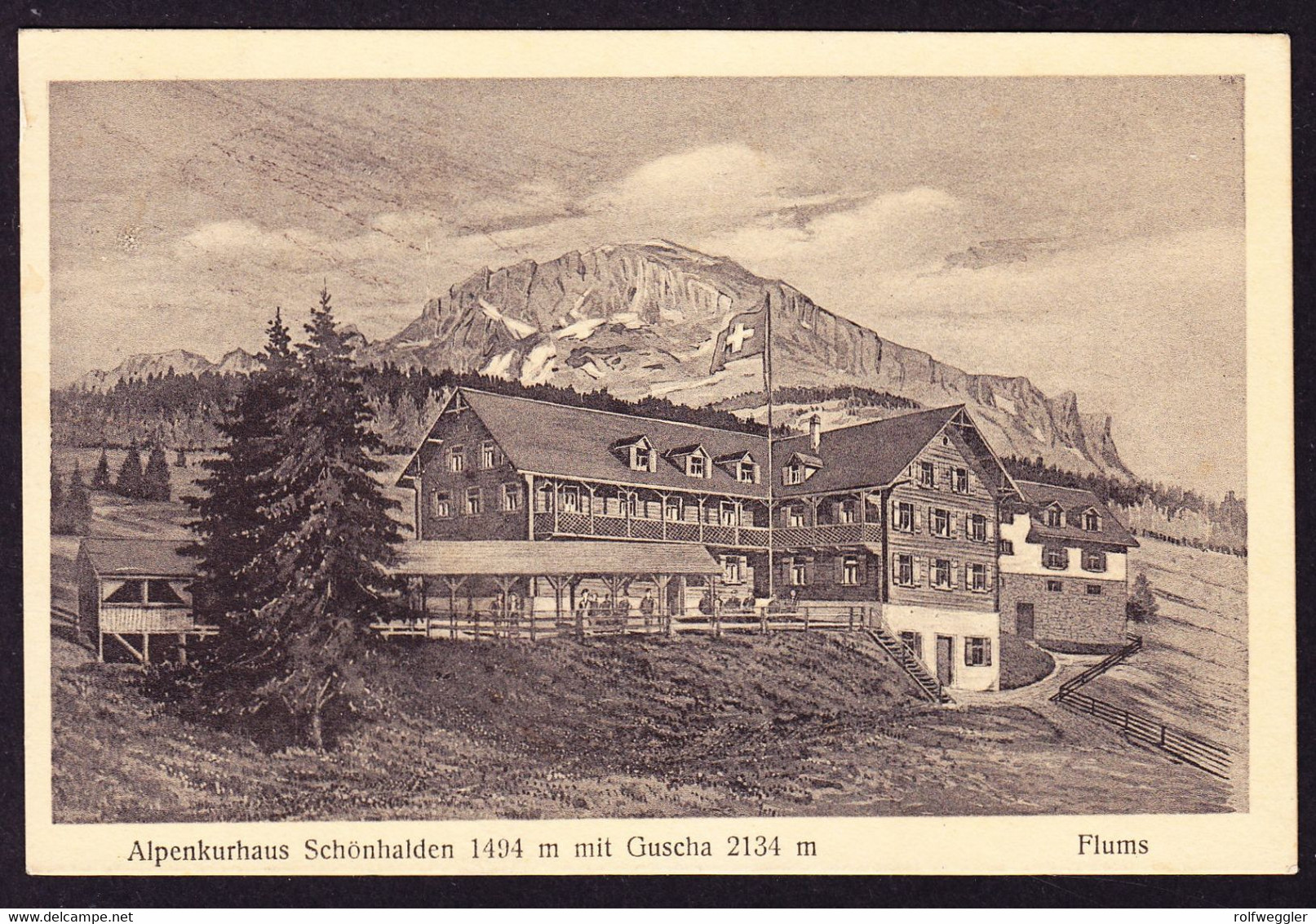 1924 Gelaufene AK Aus Flums, Alpenkurhaus Schönhalden Mit Guscha. - Flums