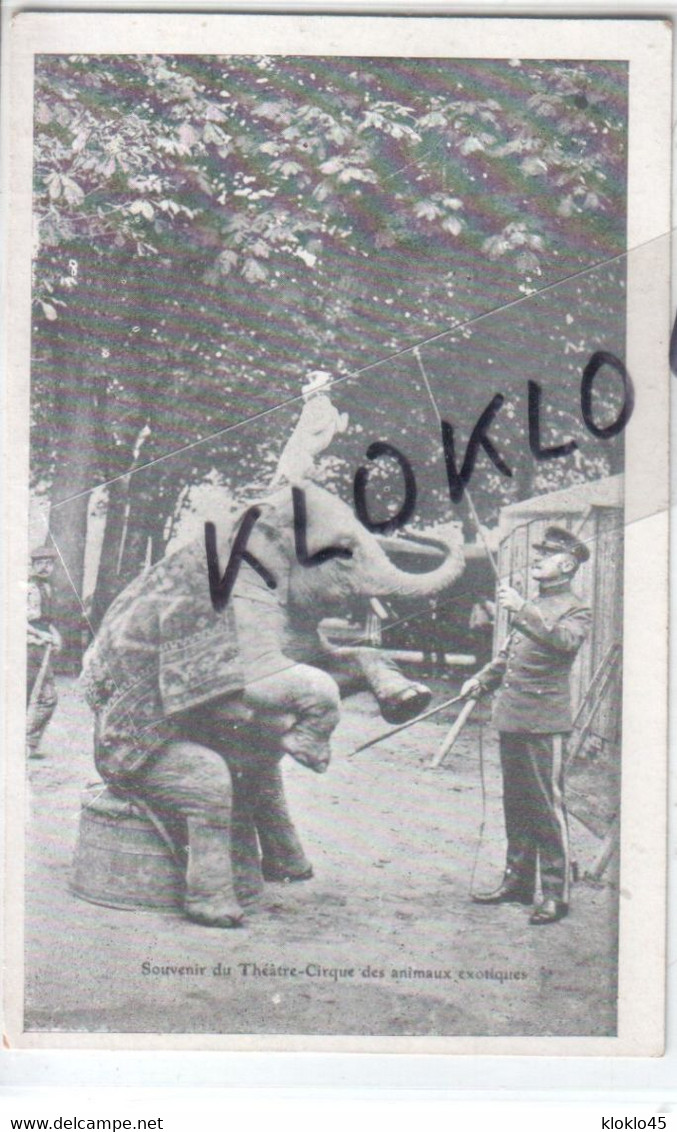 Spectacle - Souvenir Du Théâtre Cirque Des Animaux Exotiques - Chien Sur La Tête D'un éléphant Dompteur CPA - Cirque