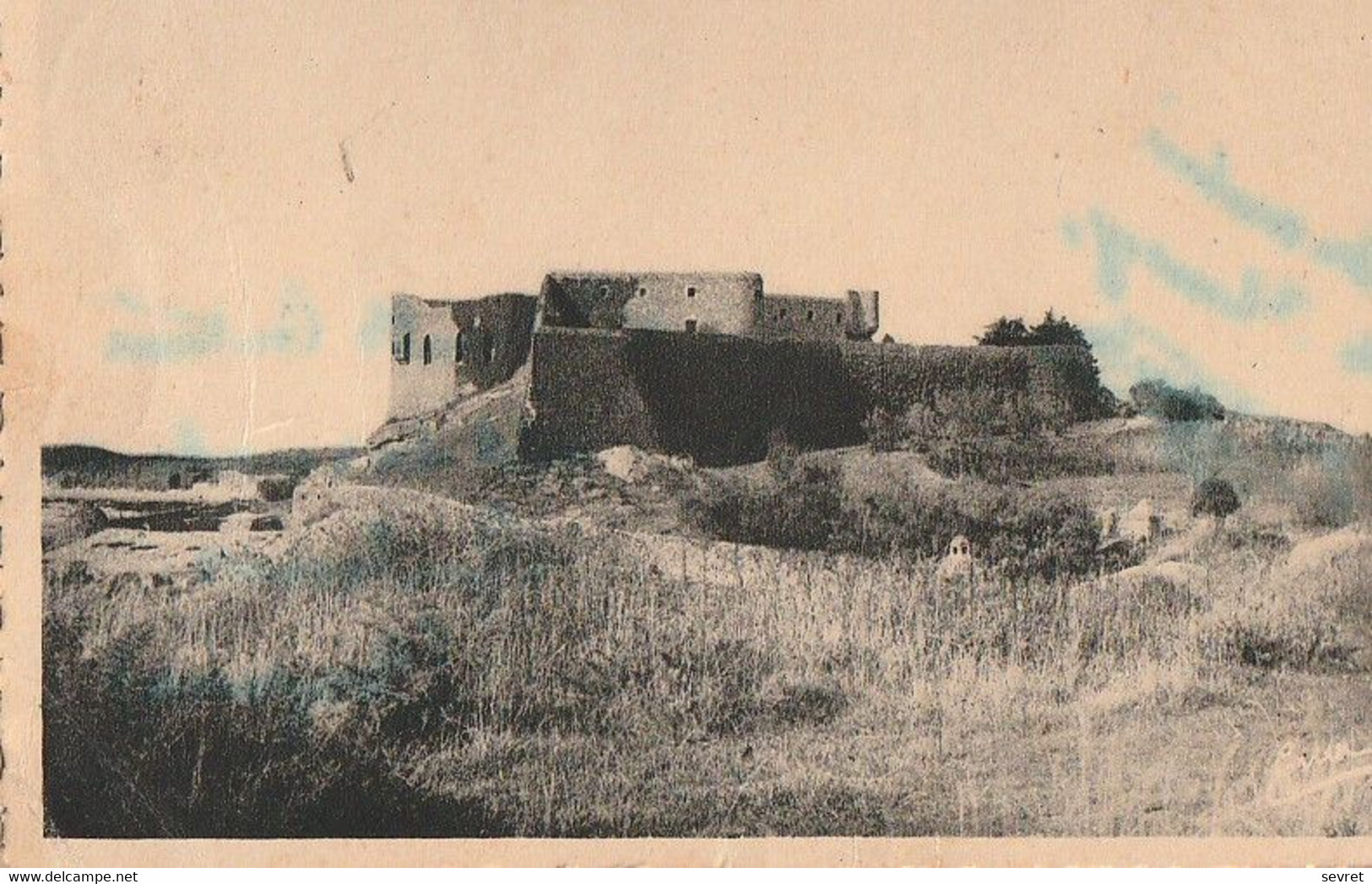 ILE DE CHAUSSEY  - Le Chateau.  Carte Rare - Other & Unclassified