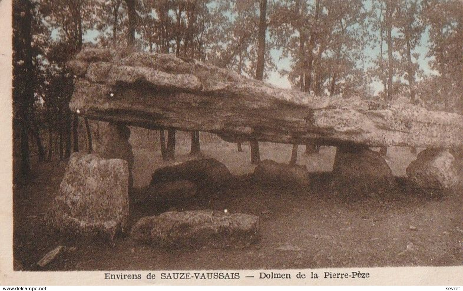 Environs De SAUZE-VAUSSAIS. - Dolmen De La Pierre-Pèze - Dolmen & Menhirs