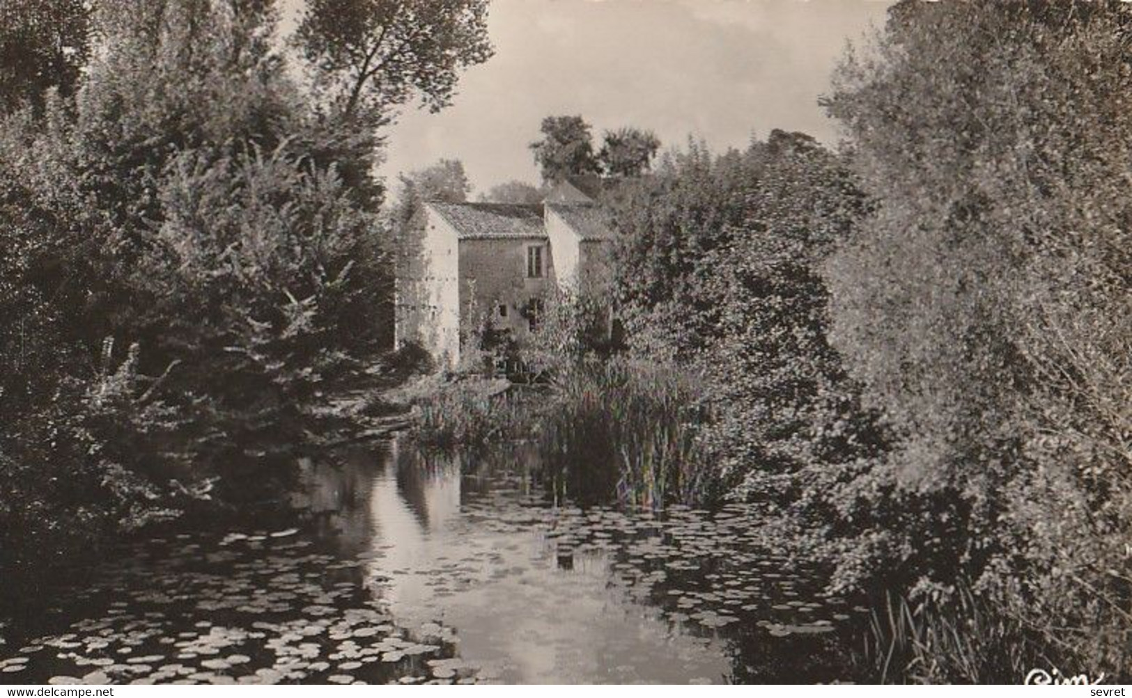 COULONGES-sur-L'AUTIZE. - Le Moulin Vu Sur L'Autize. CPSM RARE - Coulonges-sur-l'Autize