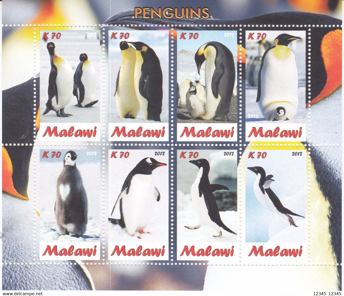 Malawi 2012, Postfris MNH, Birds, Penguins - Malawi (1964-...)