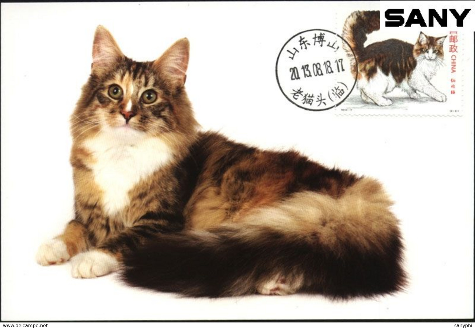 China 2022 Maximum Card -Cat 4v - Gatti