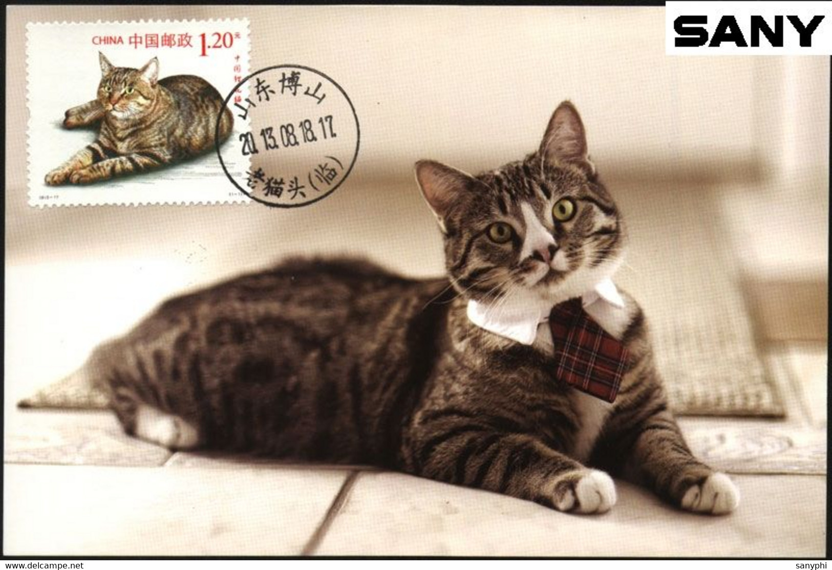 China 2022 Maximum Card -Cat 4v - Gatti