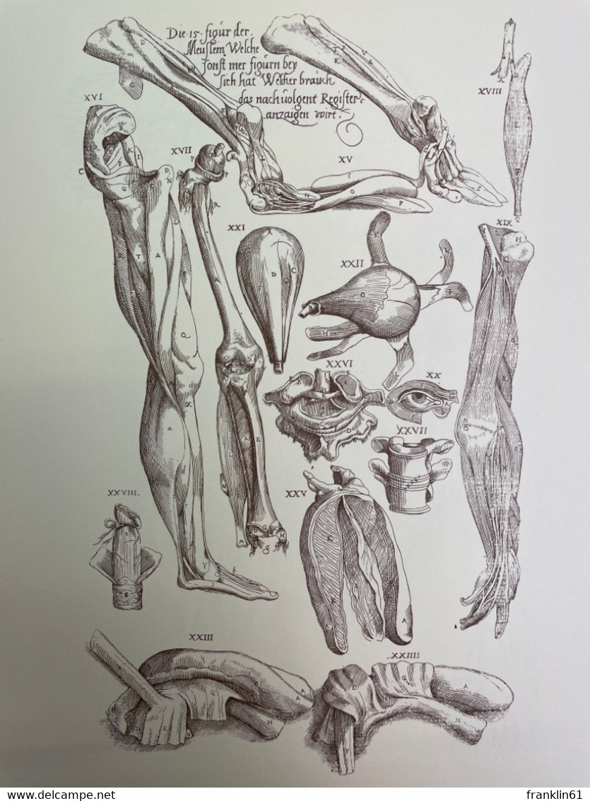 Andreas Vesalius. Bruxellensis. - Gezondheid & Medicijnen