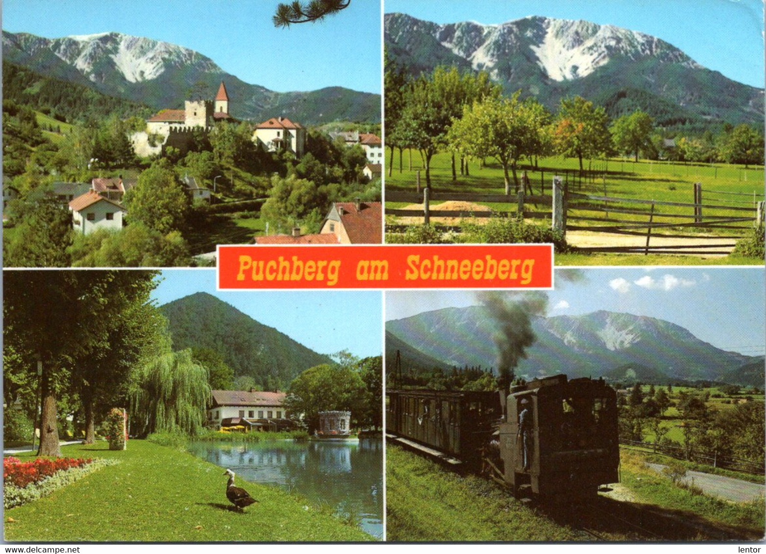 0101 / Puchberg Am Schneeberg - Altri & Non Classificati