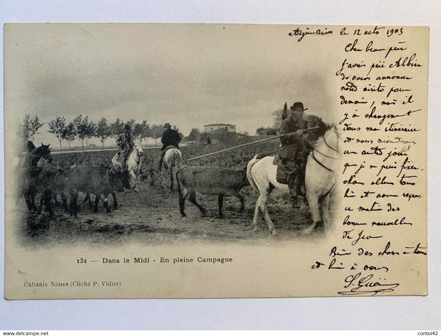 30 AIGUES-VIVES TAUREAUX ET GARDIANS DANS LE MIDI EN PEINE CAMPAGNE EDITEUR CABANIS NIMES CAMARGUE GARD - Aigues-Vives