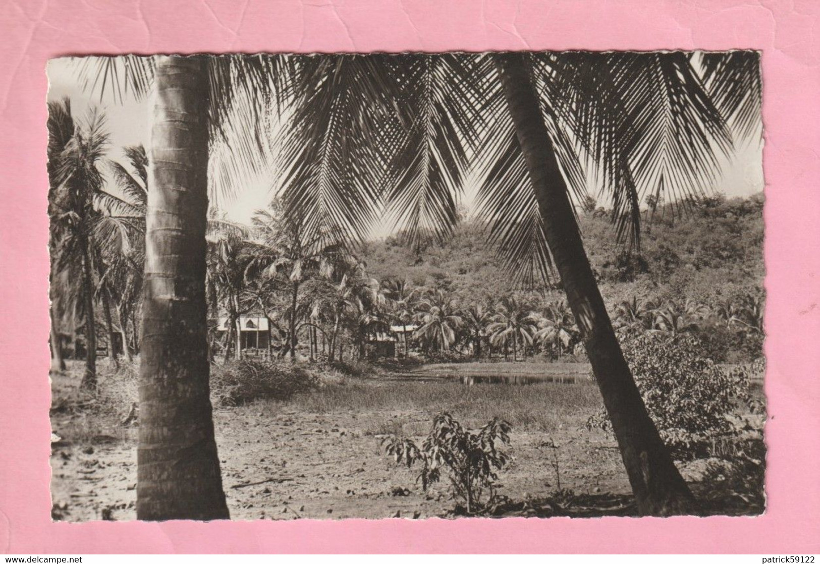 GUADELOUPE - ST / SAINT MARTIN MARIGOT - VIEUX HABITANTS - - Saint Martin