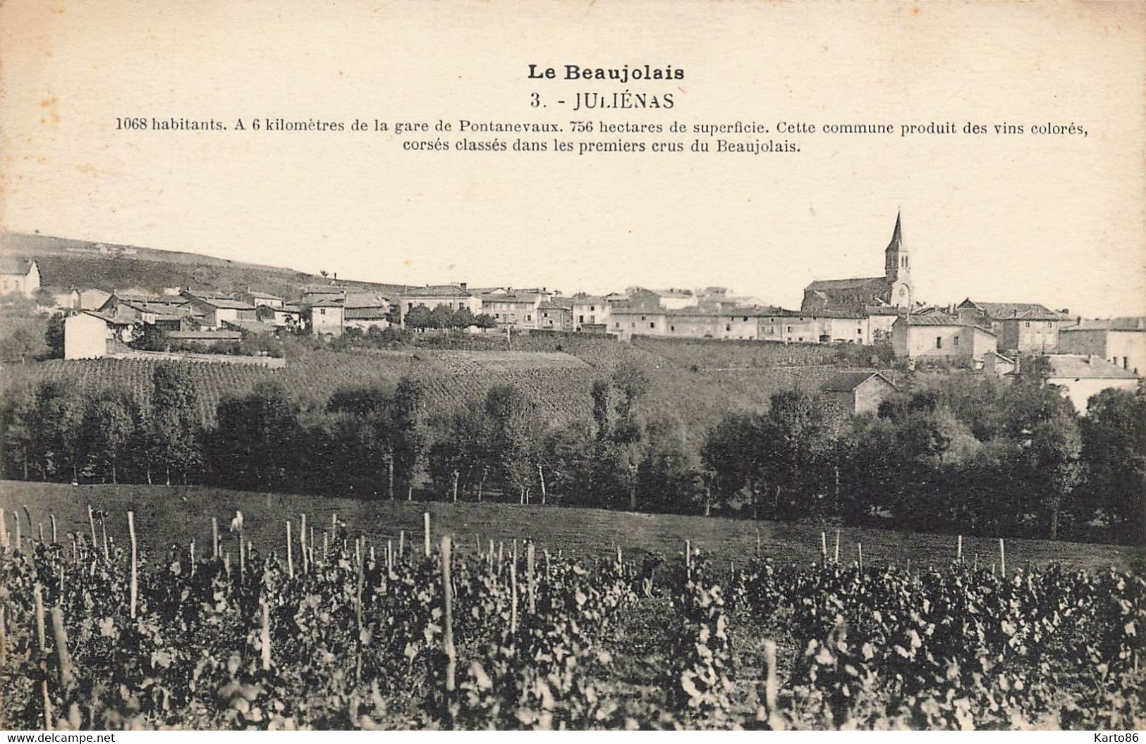 Juliénas * Vue Sur Le Village * Vignes Vignoble - Julienas