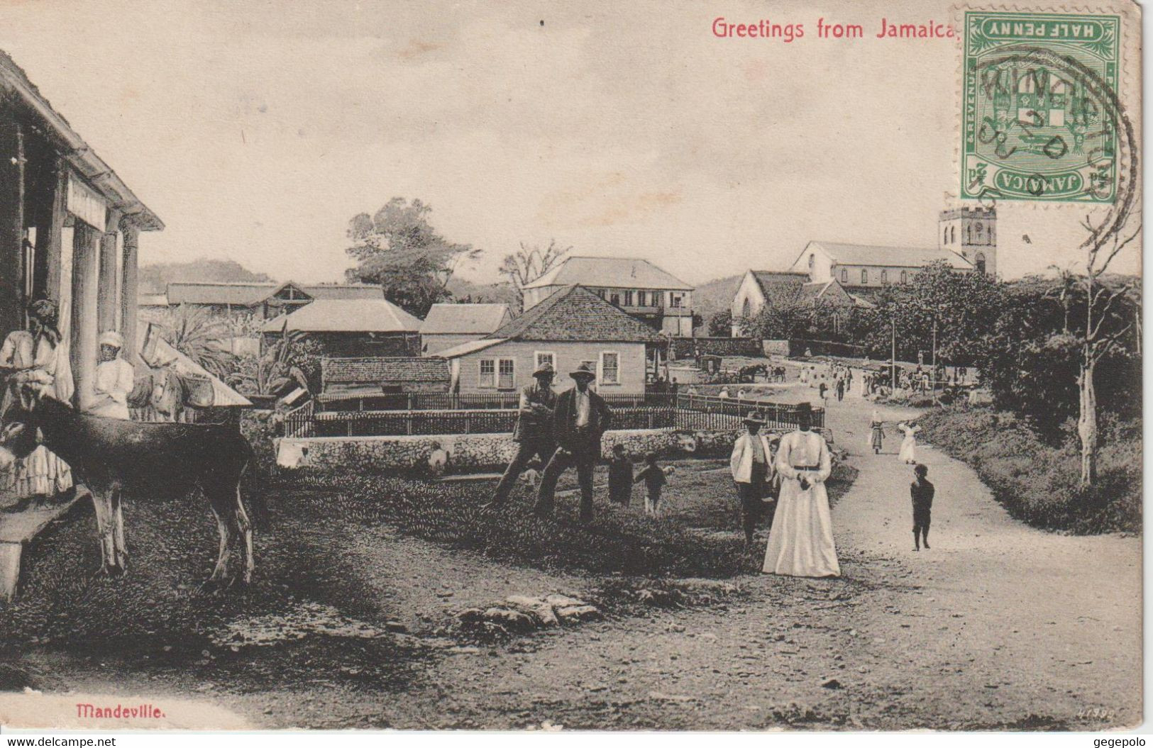 MANDEVILLE  - Greetings From Jamaica ( Carte Postée De Kingston ) - Jamaica