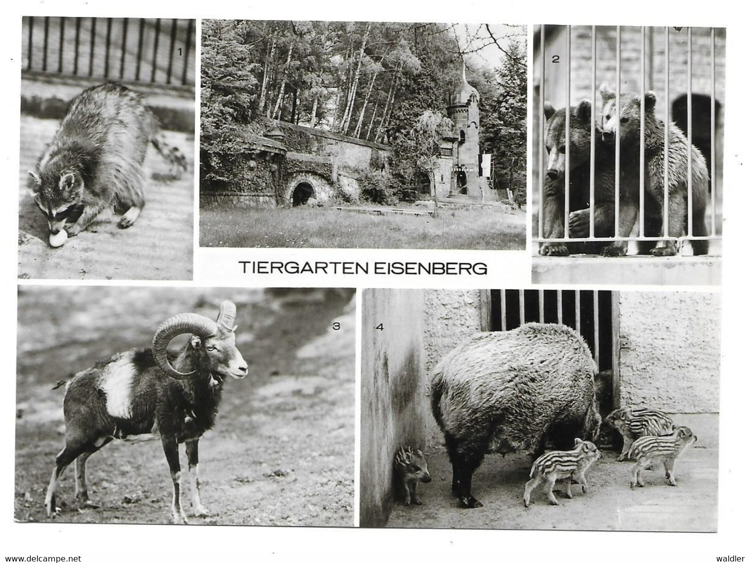 6520  EISENBERG / THÜR.  --  TIERGARTEN, ZOO  1977 - Eisenberg