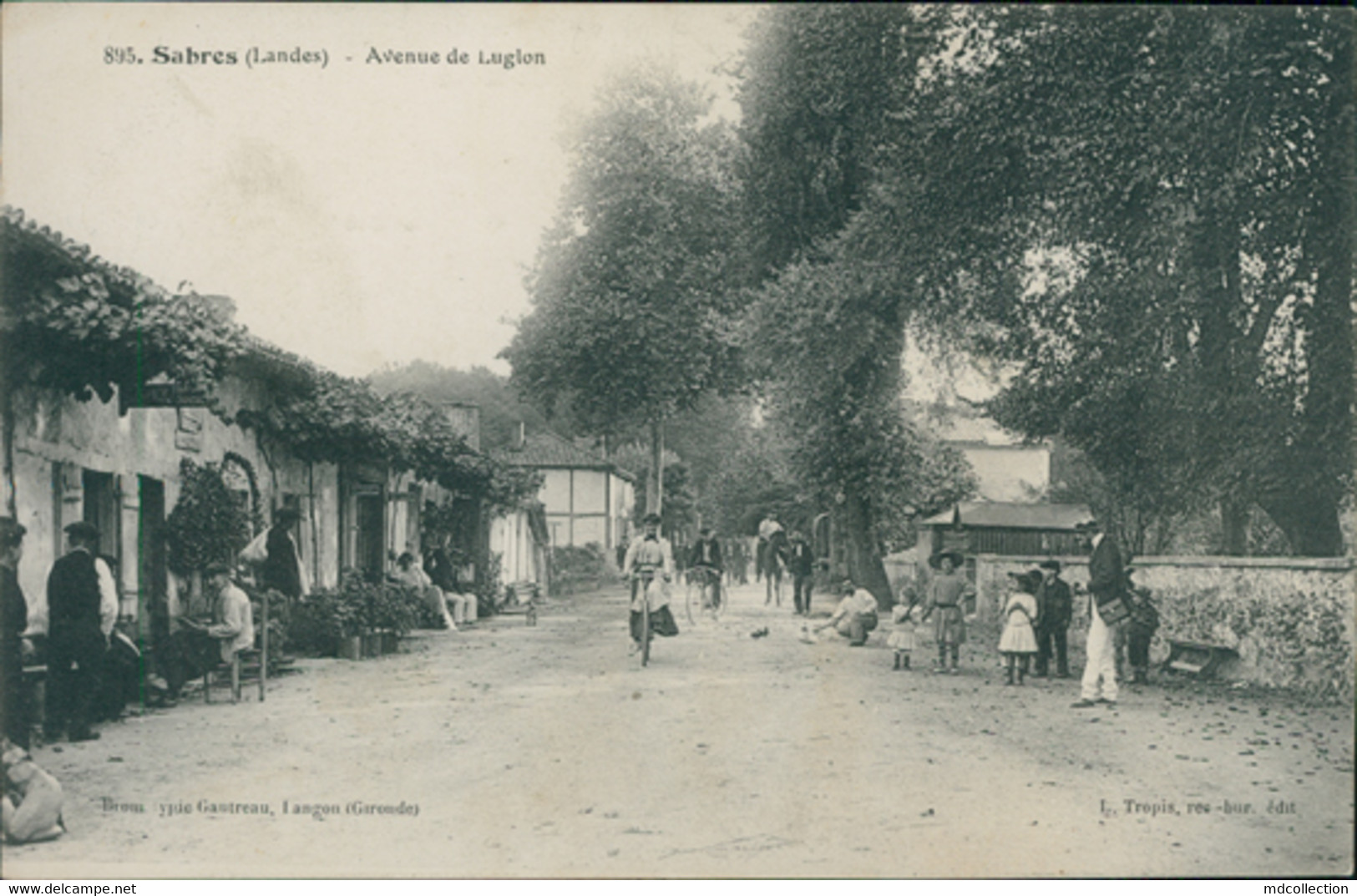 40 SABRES / Avenue De Lugion / BELLE CARTE ANIMEE - Sabres