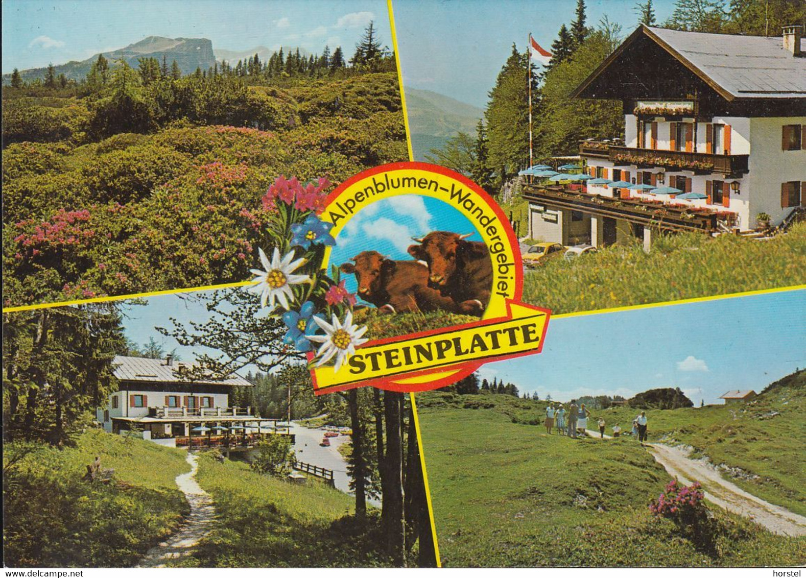 Austria - 6384 Waidring - Alpengasthof Steinplatte - Waidring
