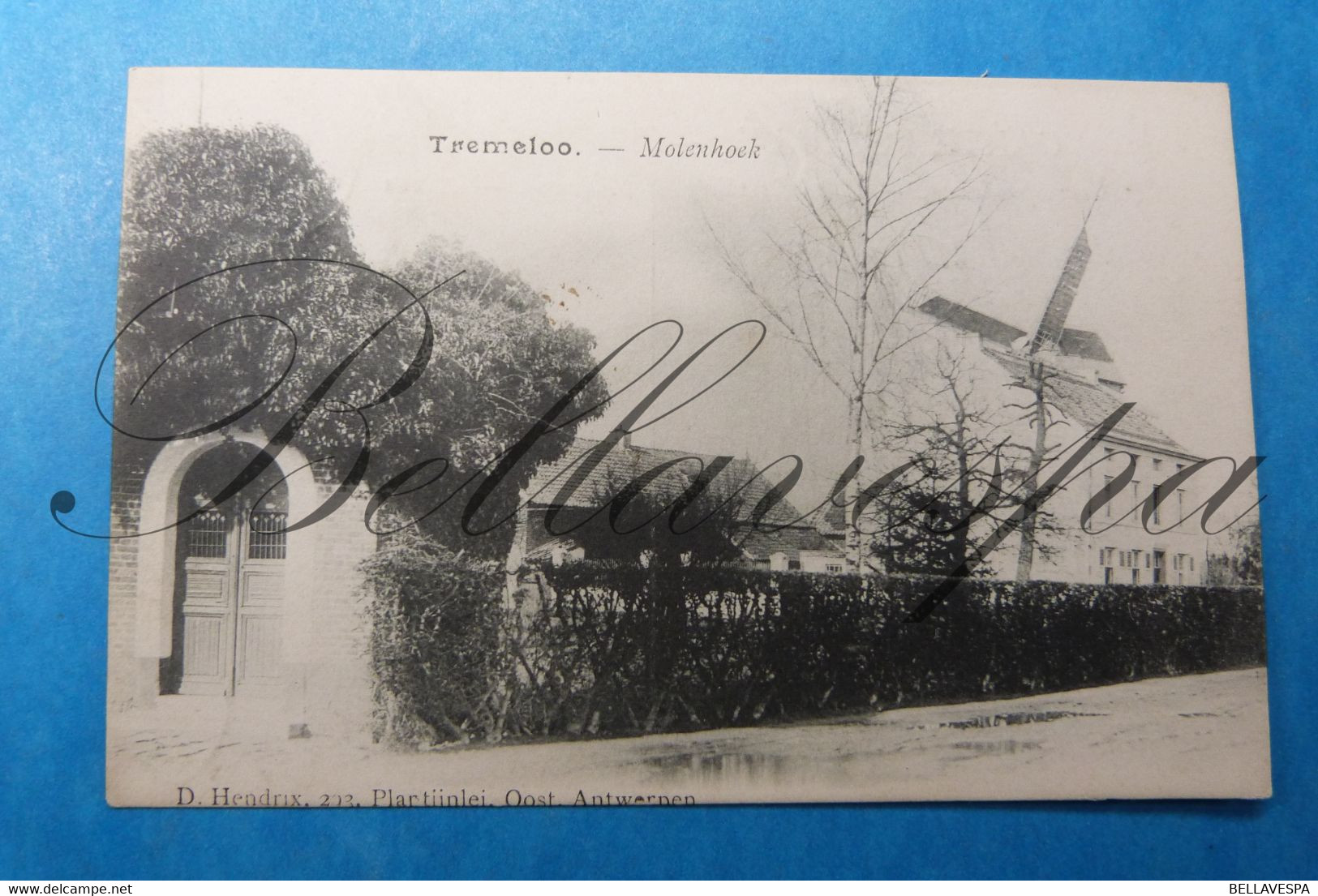 Tremelo   Molenhoek Windmolen Moulin A Vent. Verzonden 1906 - Tremelo