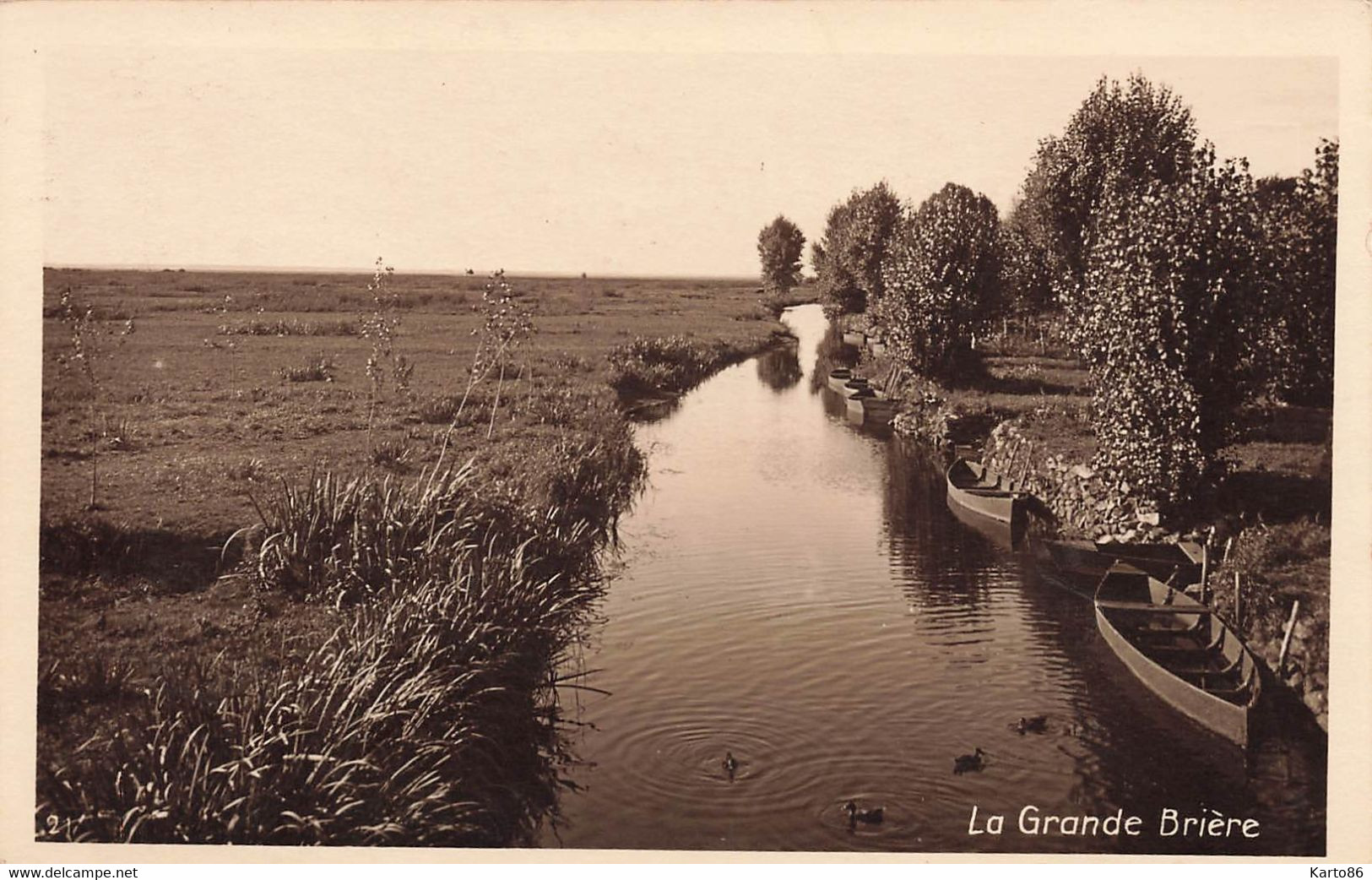 St Joachim * Carte Photo * La Grande Brière - Saint-Joachim